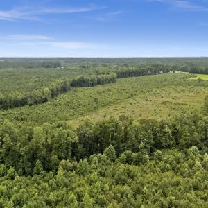 Photo #10 of Off Watering Pond Road, Pink Hill, NC 43.1 acres