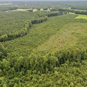 Photo #11 of Off Watering Pond Road, Pink Hill, NC 43.1 acres