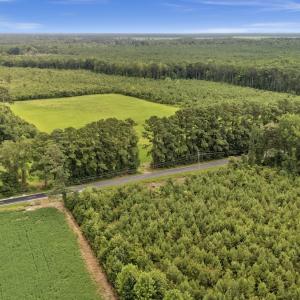 Photo #12 of Off Watering Pond Road, Pink Hill, NC 43.1 acres