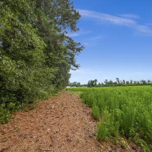 Photo #13 of Off Watering Pond Road, Pink Hill, NC 43.1 acres