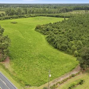 Photo #14 of Off Watering Pond Road, Pink Hill, NC 43.1 acres