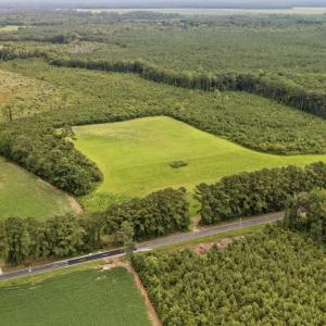 Photo #15 of Off Watering Pond Road, Pink Hill, NC 43.1 acres