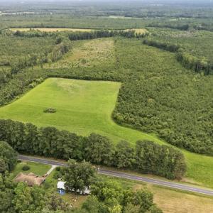 Photo #17 of Off Watering Pond Road, Pink Hill, NC 43.1 acres
