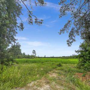 Photo #18 of Off Watering Pond Road, Pink Hill, NC 43.1 acres