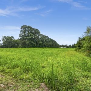 Photo #19 of Off Watering Pond Road, Pink Hill, NC 43.1 acres