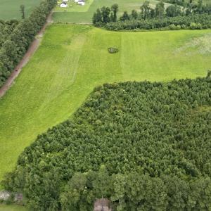 Photo #3 of Off Watering Pond Road, Pink Hill, NC 43.1 acres