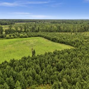 Photo #6 of Off Watering Pond Road, Pink Hill, NC 43.1 acres