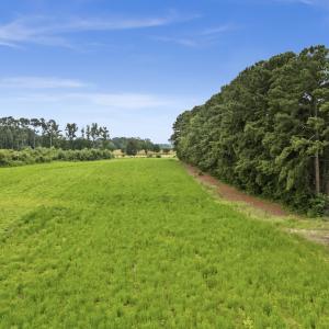 Photo #7 of Off Watering Pond Road, Pink Hill, NC 43.1 acres