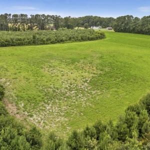 Photo #8 of Off Watering Pond Road, Pink Hill, NC 43.1 acres