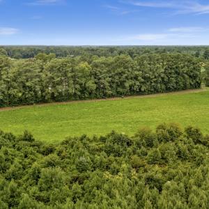 Photo #9 of Off Watering Pond Road, Pink Hill, NC 43.1 acres