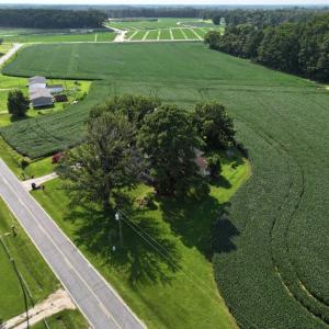 Photo #15 of 183 WATERY BRANCH CHURCH RD , Stantonsburg, NC 5.8 acres