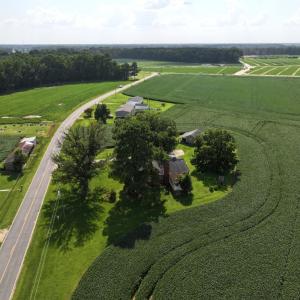 Photo #16 of 183 WATERY BRANCH CHURCH RD , Stantonsburg, NC 5.8 acres