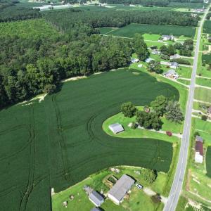 Photo #17 of 183 WATERY BRANCH CHURCH RD , Stantonsburg, NC 5.8 acres