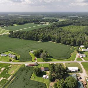 Photo #20 of 183 WATERY BRANCH CHURCH RD , Stantonsburg, NC 5.8 acres