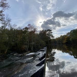 Photo #35 of 13496 Shands Road, Stony Creek, VA 44.0 acres