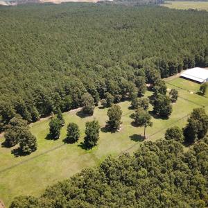 Photo #21 of 4373 Newville Rd , Waverly, VA 24.0 acres
