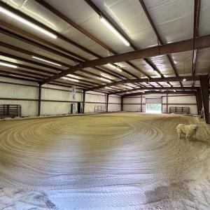 Photo #23 of 4373 Newville Rd , Waverly, VA 24.0 acres