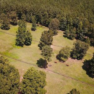 Photo #29 of 4373 Newville Rd , Waverly, VA 24.0 acres