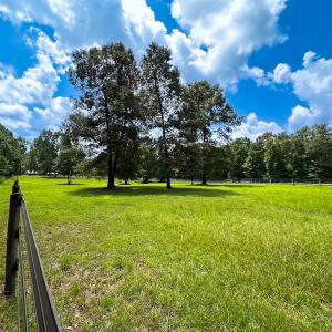 Photo #31 of 4373 Newville Rd , Waverly, VA 24.0 acres