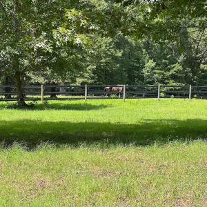 Photo #33 of 4373 Newville Rd , Waverly, VA 24.0 acres