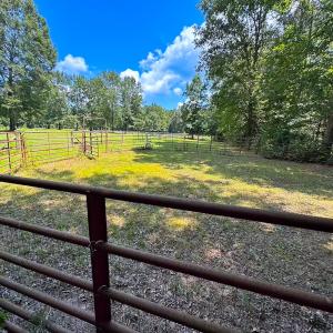 Photo #35 of 4373 Newville Rd , Waverly, VA 24.0 acres