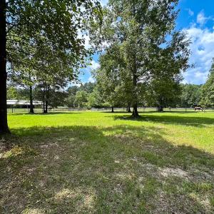 Photo #36 of 4373 Newville Rd , Waverly, VA 24.0 acres
