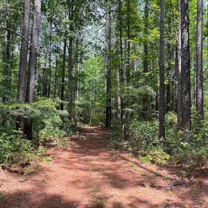Photo #40 of 4373 Newville Rd , Waverly, VA 24.0 acres