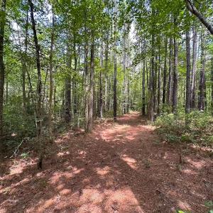 Photo #42 of 4373 Newville Rd , Waverly, VA 24.0 acres