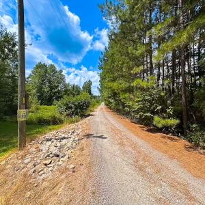 Photo #44 of 4373 Newville Rd , Waverly, VA 24.0 acres