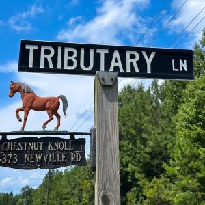 Photo #45 of 4373 Newville Rd , Waverly, VA 24.0 acres