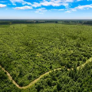 Photo #13 of 1115 WILMAR RD, vanceboro, NC 166.0 acres