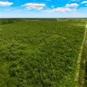 Photo #15 of 1115 WILMAR RD, vanceboro, NC 166.0 acres