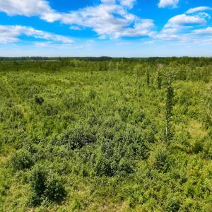 Photo #17 of 1115 WILMAR RD, vanceboro, NC 166.0 acres