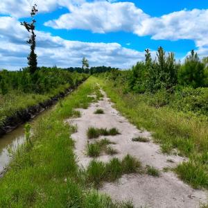 Photo #18 of 1115 WILMAR RD, vanceboro, NC 166.0 acres