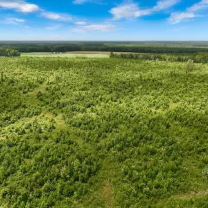 Photo #20 of 1115 WILMAR RD, vanceboro, NC 166.0 acres