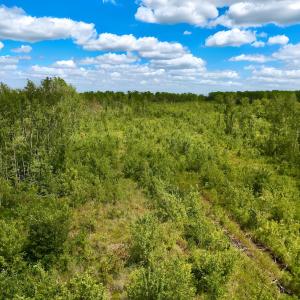 Photo #21 of 1115 WILMAR RD, vanceboro, NC 166.0 acres
