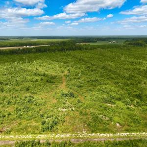 Photo #22 of 1115 WILMAR RD, vanceboro, NC 166.0 acres