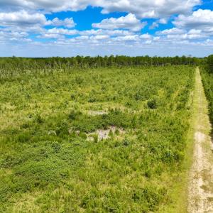 Photo #23 of 1115 WILMAR RD, vanceboro, NC 166.0 acres