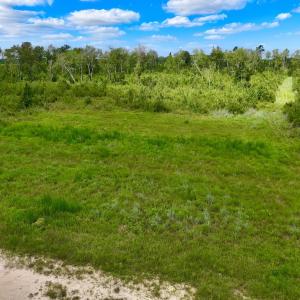 Photo #25 of 1115 WILMAR RD, vanceboro, NC 166.0 acres