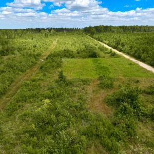 Photo #26 of 1115 WILMAR RD, vanceboro, NC 166.0 acres