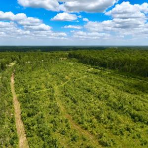 Photo #3 of 1115 WILMAR RD, vanceboro, NC 166.0 acres