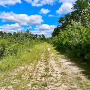 Photo #27 of 1115 WILMAR RD, vanceboro, NC 166.0 acres