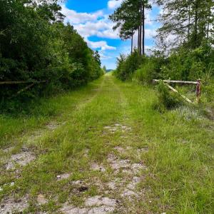 Photo #28 of 1115 WILMAR RD, vanceboro, NC 166.0 acres