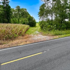 Photo #29 of 1115 WILMAR RD, vanceboro, NC 166.0 acres