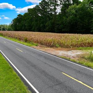 Photo #30 of 1115 WILMAR RD, vanceboro, NC 166.0 acres