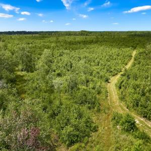 Photo #33 of 1115 WILMAR RD, vanceboro, NC 166.0 acres