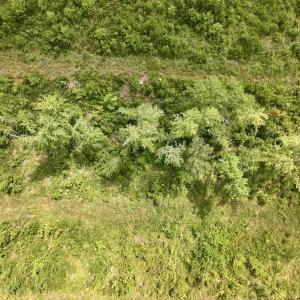 Photo #35 of 1115 WILMAR RD, vanceboro, NC 166.0 acres