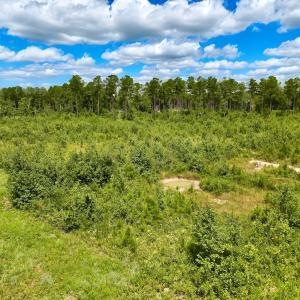 Photo #38 of 1115 WILMAR RD, vanceboro, NC 166.0 acres