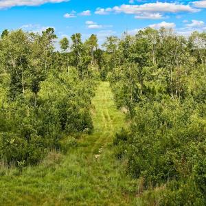 Photo #40 of 1115 WILMAR RD, vanceboro, NC 166.0 acres