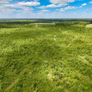 Photo #9 of 1115 WILMAR RD, vanceboro, NC 166.0 acres